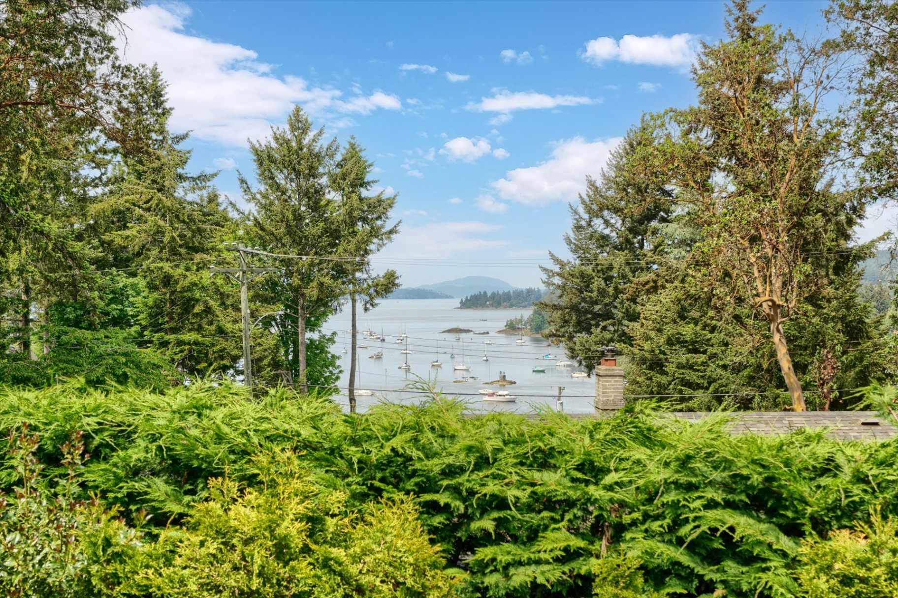 Ocean view of Saanich Inlet from the property