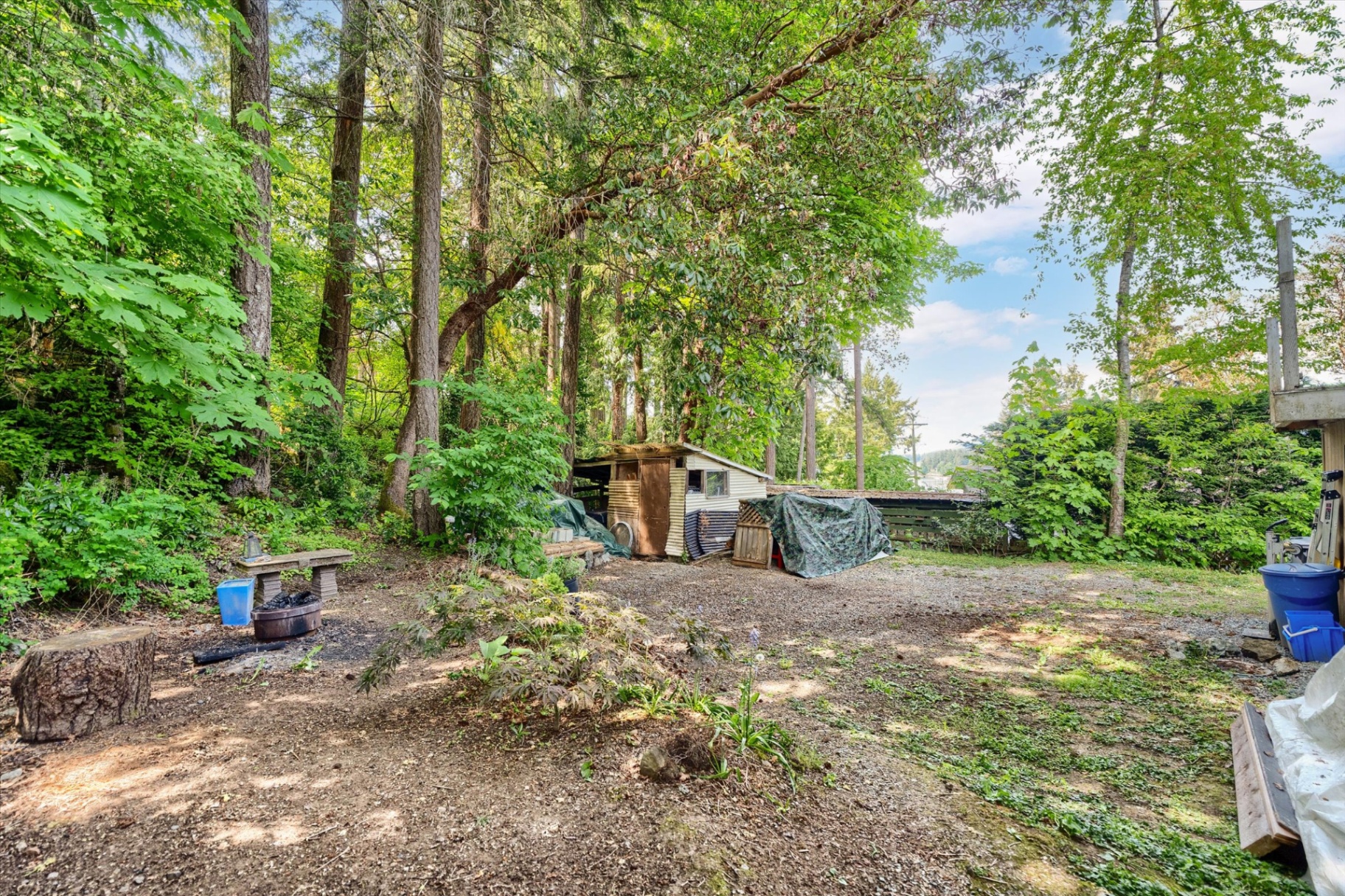 Private treed yard